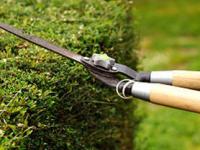 the dangers of&nbsp;landscaping.