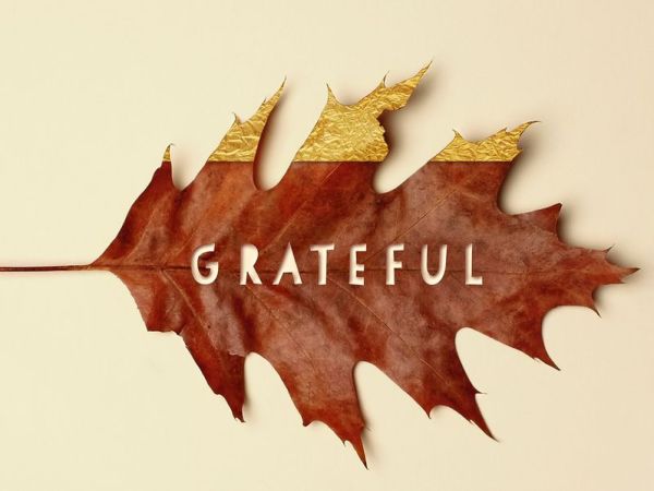 the gratitude project&nbsp;(2023).