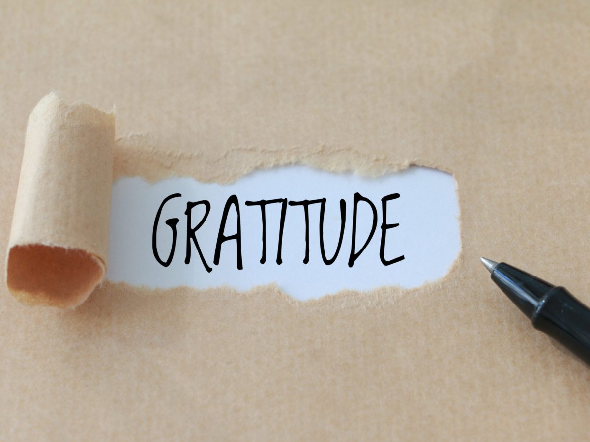 the gratitude project&nbsp;(2024).